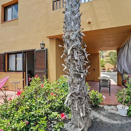 Oasis Papagayo Cozy Patio Corralejo